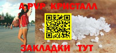 шишки Обь