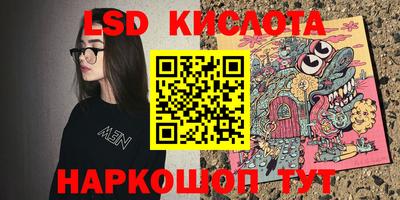 шишки Обь