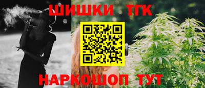 шишки Обь