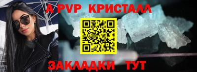 шишки Обь