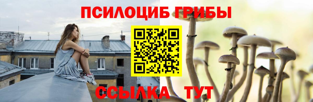 Родники  Галлюциногенные грибы Psilocybine cubensis  Вход с VPN 